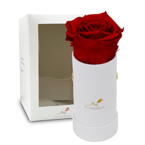 Rosenlieb Rosenbox Weiß mit Infinity Rosen (bis 3 Jahre haltbar) | Echte konservierte Rosen |...