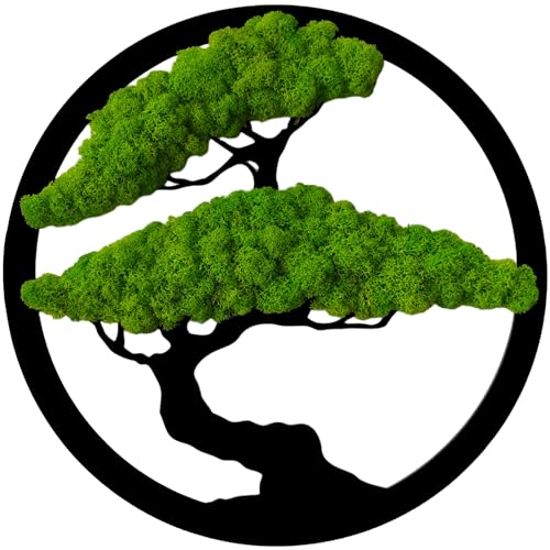 ProArts Moosbild Rund Bonsai Baum - Moosbilder mit Rahmen 30x30cm - Mooswand Lebend Natürliches -...